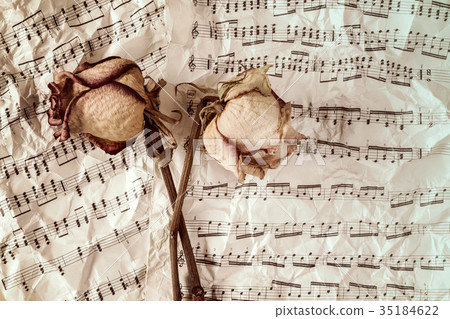 Dry roses on music sheets background Dry roses on music sheets background 35184622
