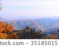 [自然，風景，高尾山]秋葉 35185015