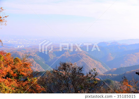 [自然，風景，高尾山]秋葉 35185015