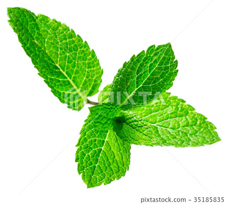 Fresh raw mint leaves isolated on white background 35185835