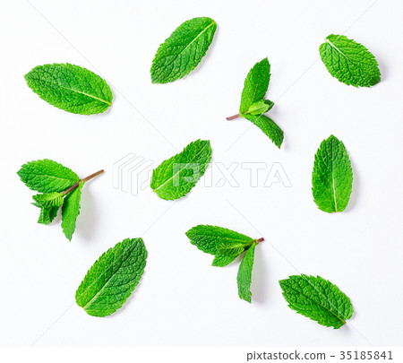 Fresh raw mint leaves isolated on white background Fresh raw mint leaves isolated on white background 35185841