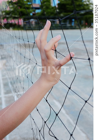 Hand handles on the sport net 35187024