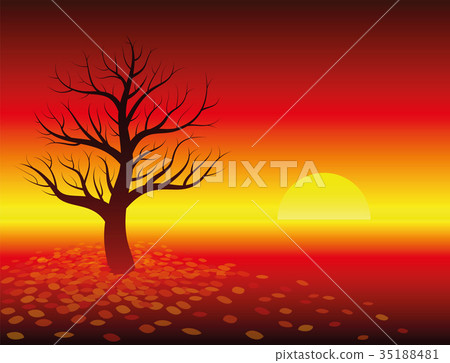 Autumn Atmosphere Sunset Leafless Tree 35188481