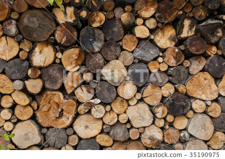 background of round spilled wood background of round spilled wood 35190975