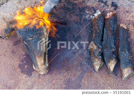 in villages killed a sheep in villages killed a sheep 35191001