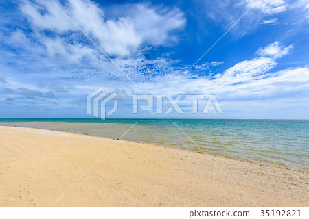 The sea of Okinawa 35192821