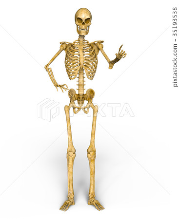 Squealing Squealing 35193538