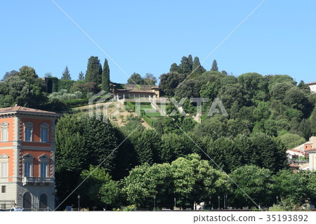 Florence Baldini Gardens Florence Baldini Gardens 35193892