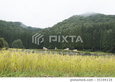 白馬村/奧尼村的田田 白馬村/奧尼村的田田 35194116