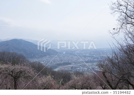 從山頂看到的寶藏登山/秩父市和秩父山脈 從山頂看到的寶藏登山/秩父市和秩父山脈 35194482