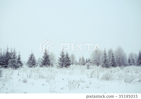 snow in the winter landscape of field on a cloudy day 35195033