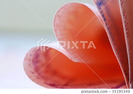 Heart from a passport Heart from a passport 35195349