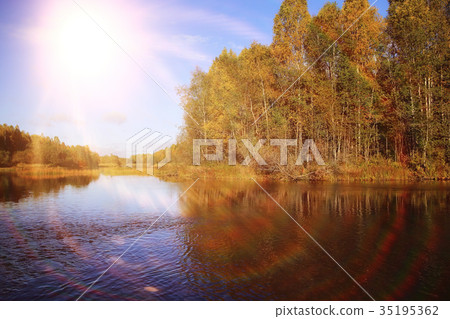 water trees sun sky nature 35195362