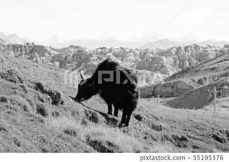 Tibetan landscape travel Tibetan landscape travel 35195376