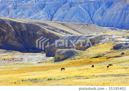Tibetan landscape travel 35195401