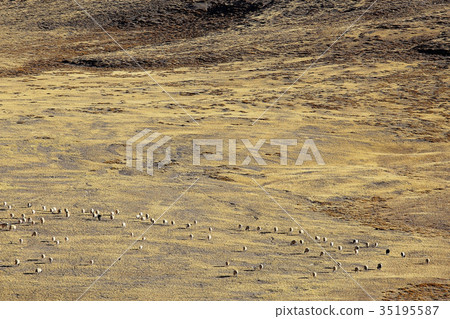soil corrosion cracks on the ground 35195587