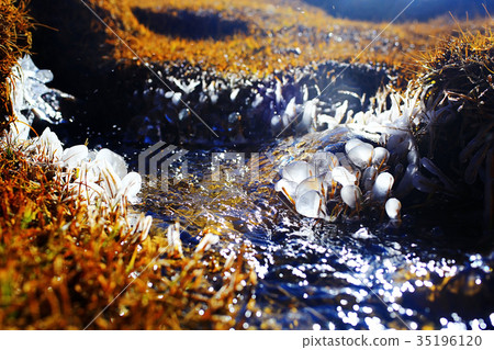 spring melting creek with ice 35196120
