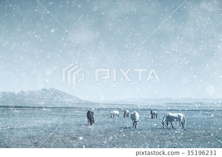 Tibetan landscape travel Tibetan landscape travel 35196231