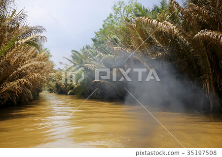 River flowing in the jungle 35197508