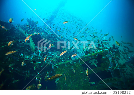 shipwreck, diving on a sunken ship, underwater landscape 35198252