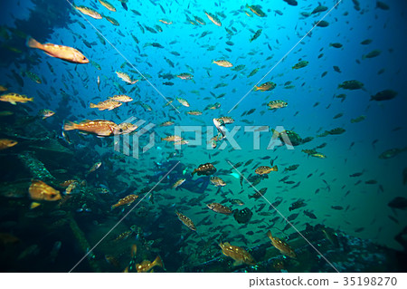 sea water texture, underwater background 35198270
