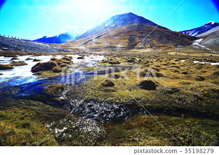 background with beautiful autumn grass background with beautiful autumn grass 35198279