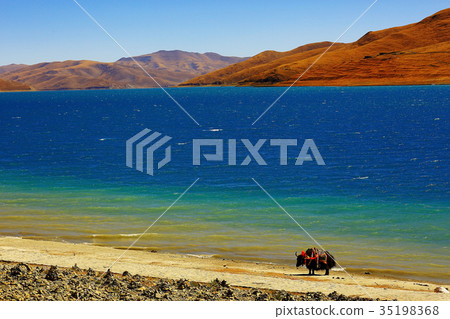sacred lake in tibet landscape 35198368