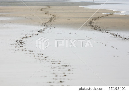 sea shore waves track sand sea shore waves track sand 35198401