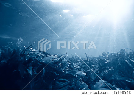 sea water texture, underwater background 35198548