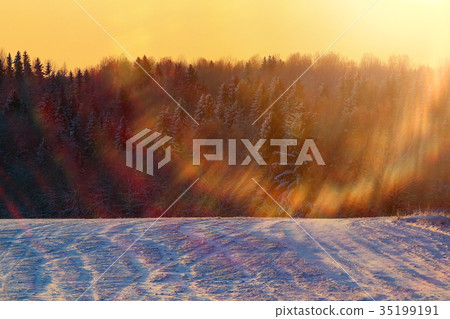 Snowy field in the forest at sunset 35199191
