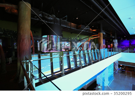 Insider view of Cairns Aquarium 35200295