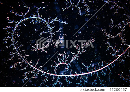 frozen pattern abstract texture background frozen pattern abstract texture background 35200467