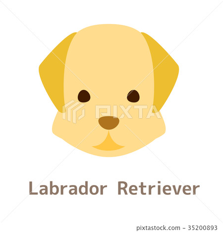 Illustration of labrador retriever 35200893