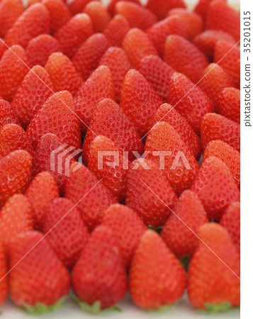 草莓 35201015
