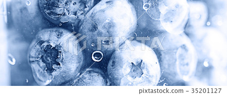 background berries blueberries panorama 35201127