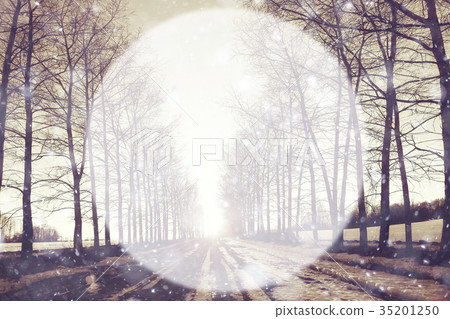 Spring forest background blur circle for text 35201250