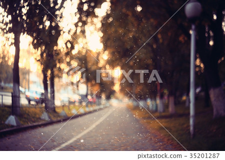 amazing autumn landscape in the city park 35201287