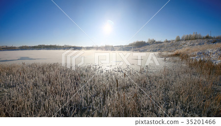 Winter sun over the lake grass 35201466