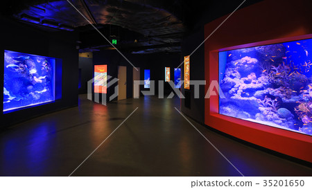 凱恩斯水族館（走廊）的內部視圖 35201650