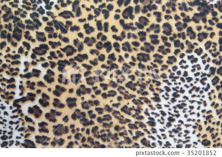 leopard fur skin texture leopard fur skin texture 35201852