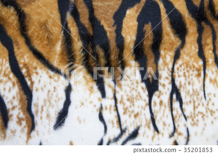 texture of tiger skin 35201853
