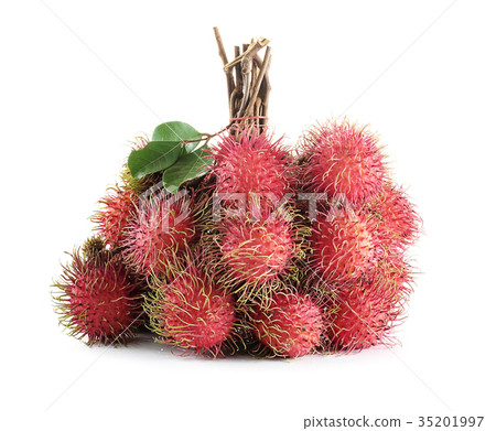 rambutan isolated on white background rambutan isolated on white background 35201997