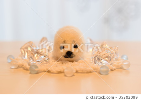 Wool felt seal - Stock Photo [35202099] - PIXTA