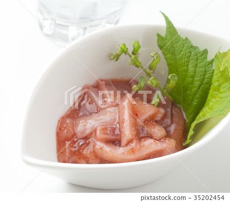 魷魚Akaita 35202454