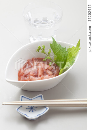Squid Akaita Squid Akaita 35202455