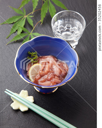 Squid Akaita 35202456