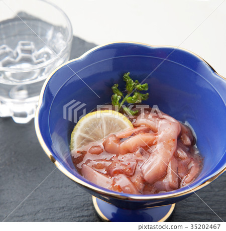 Squid Akaita 35202467