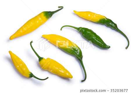 Aji pineapple C. baccatum, paths, top view 35203677
