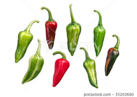 Fish chile peppers C. annuum, paths 35203680