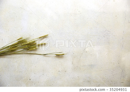 小麥小麥啤酒花 35204931